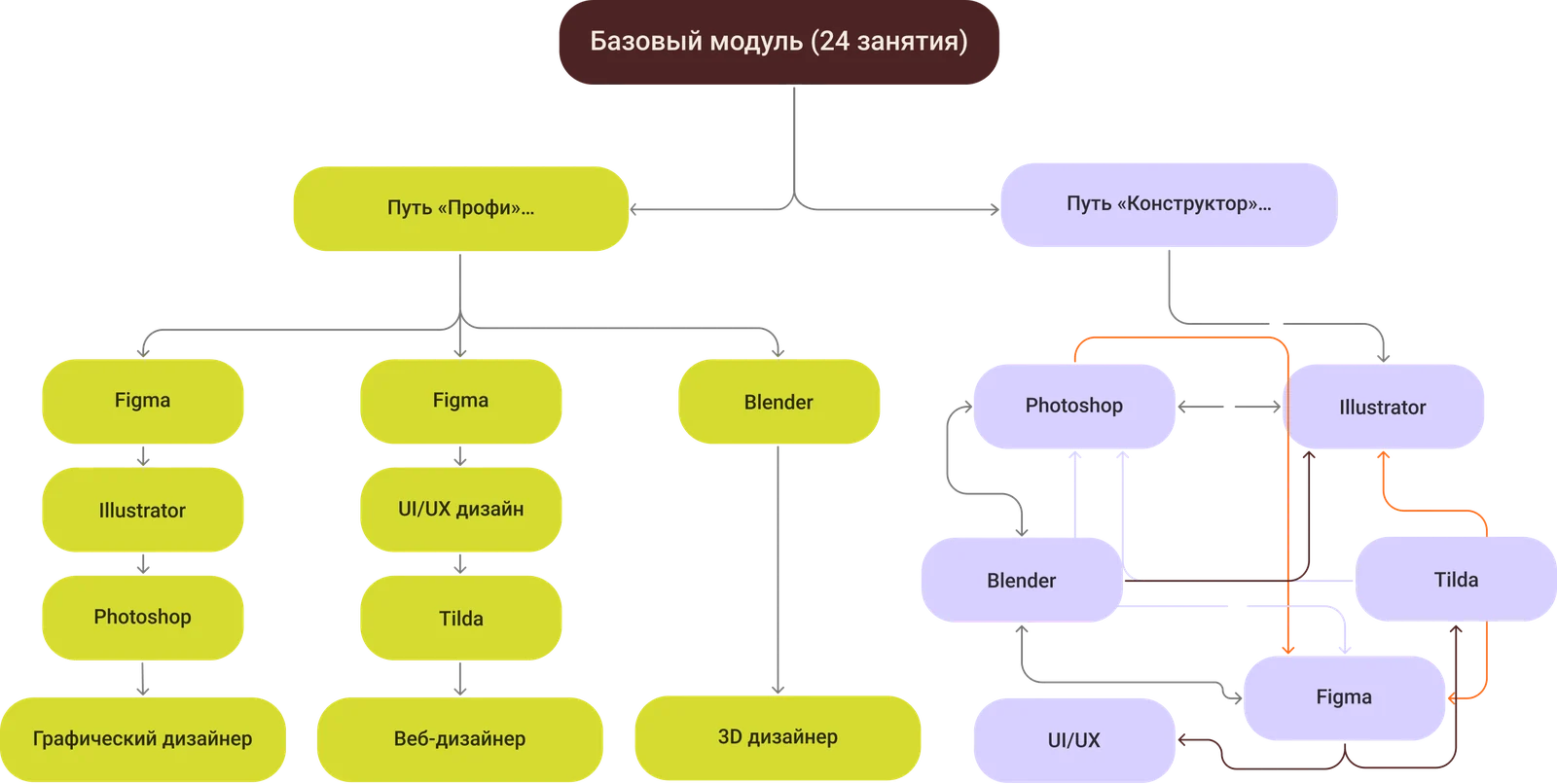 Базовый модуль из 24 занятий, дальше путь «Профи» - графический, веб- или 3D-дизайнер - или путь «Конструктор» со своим набором программ